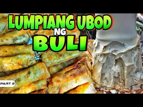 EP981-P2 - Lumpiang Ubod ng Buli