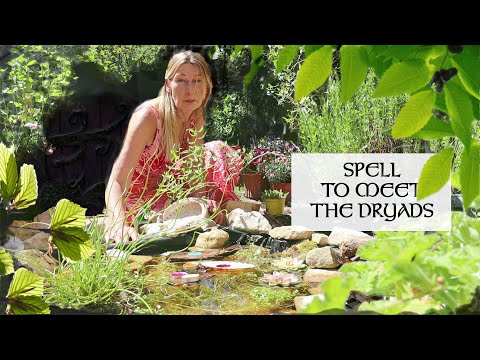 Spell to meet the Dryads (Tree and Faery Spirits)
