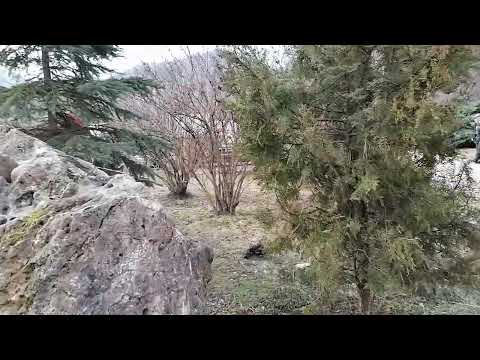 Pensiunea Cotiso - Orăștioara de Sus .