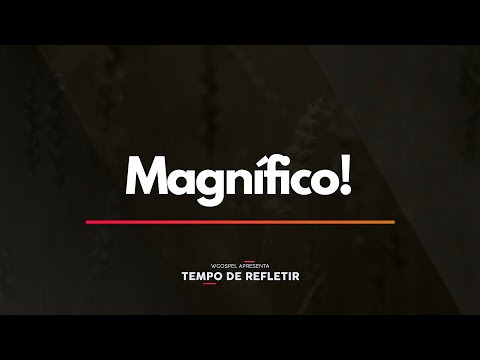 Tempo de Refletir 2338 - Magnífico!