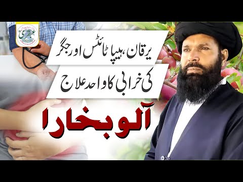 Yarkan ,Hepatitis Aur Jigar Ki Kharabi Ka Wahid Hal Alu Bukhara | Hepatitis Treatment