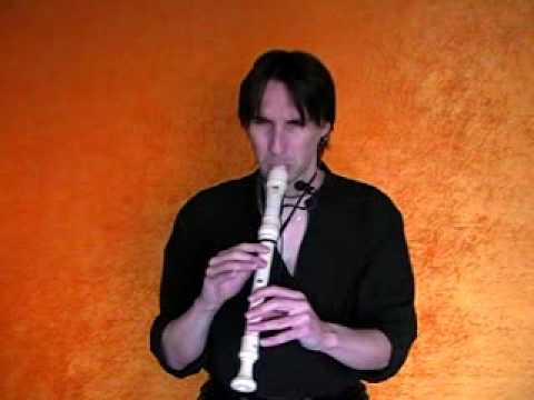 Have You Heard (Pat Metheny's chorus) by Benoît Sauvé/Recorder