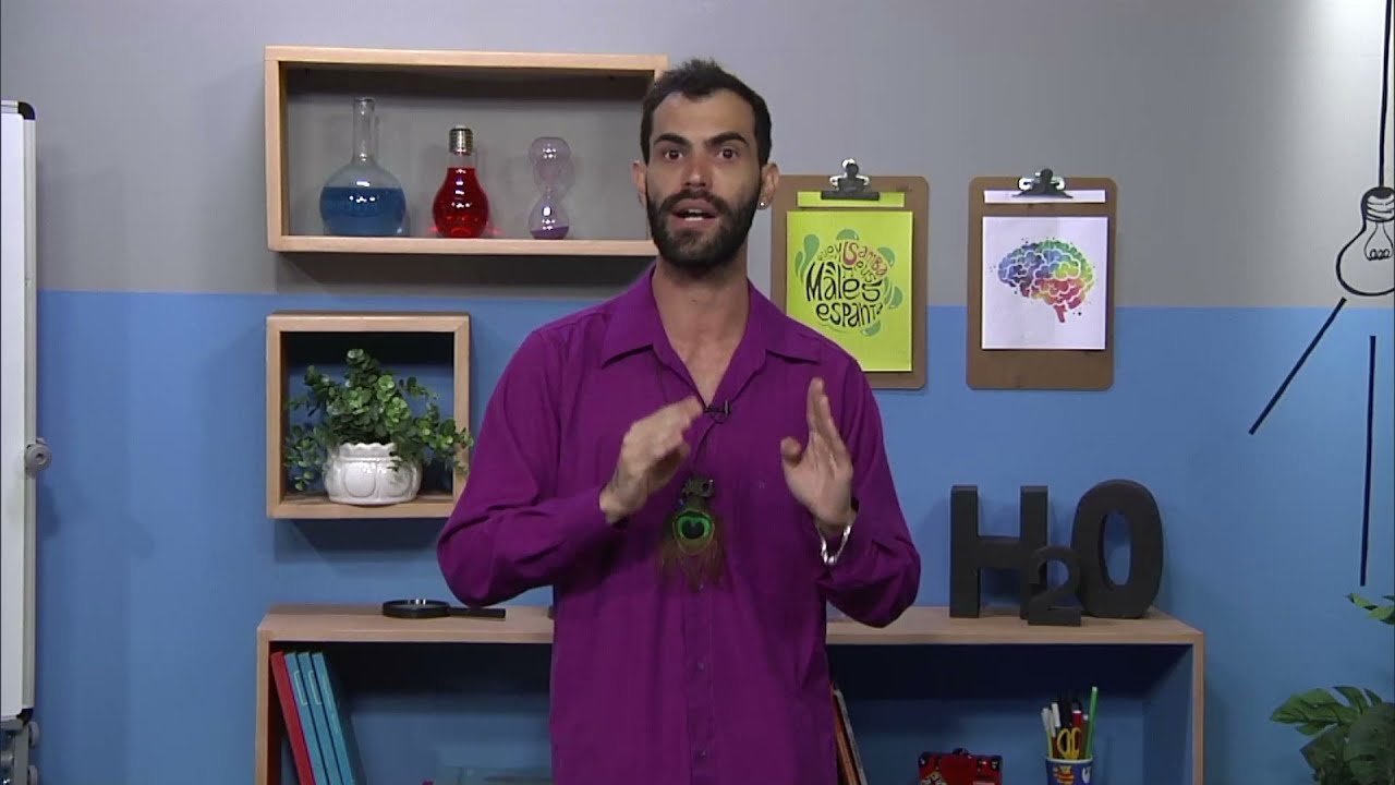 Cadeia alimentar | Rioeduca na TV – 4º Ano