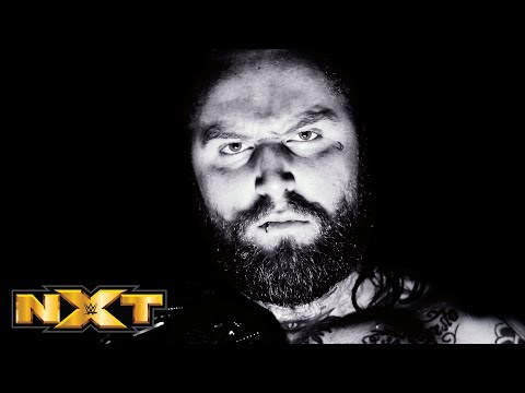 NXT Takeover: Los Angeles Scheduled For November; War Games To Be Included