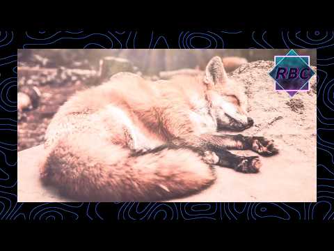 RBB Reisebürobattle and Fox Magic