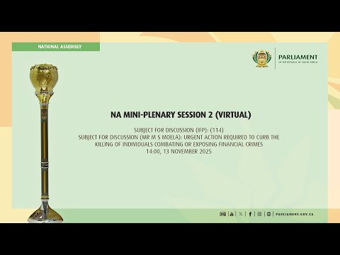 NA MINI-PLENARY SESSION 2 (Virtual), 13 November 2025