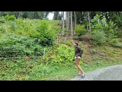 Stefan zeigt uns mit dieser Laubholzaufforstung sein Herzensprojekt