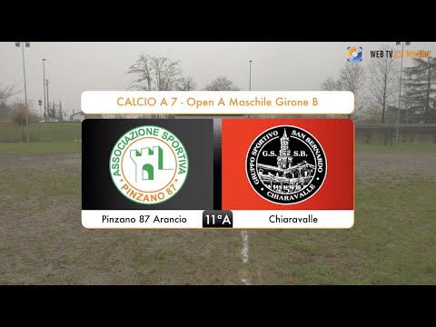 Sintesi Pinzano 87 Arancio - Chiaravalle