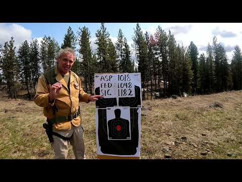 Nosler ASP 9mm Ammo Review