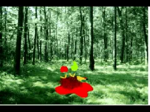 Slon in Sadež - Ježek