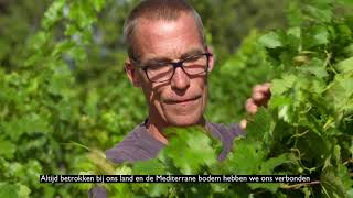 YouTube: Domaine de l'Arjolle Côtes de Thongue Equilibre Chardonnay