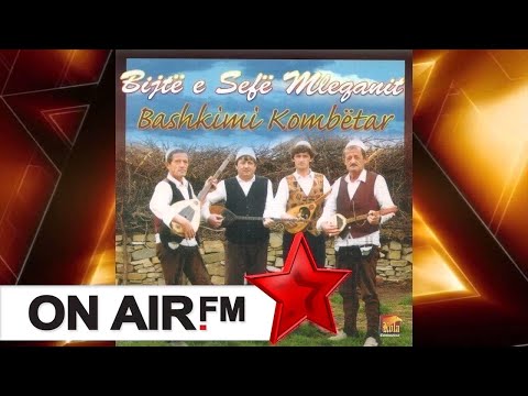 Bijte e Sefe Mleqanit  -  Bashkim Kombetar