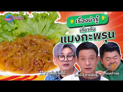 คลิกเพื่อดูคลิปวิดีโอ
