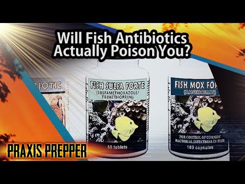 YouTube video about: Where to buy ampicillin for fish?