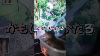 【衝撃注意】ワイ「出席番号順で〇いてたことあるけど、ナニか質問ある？」