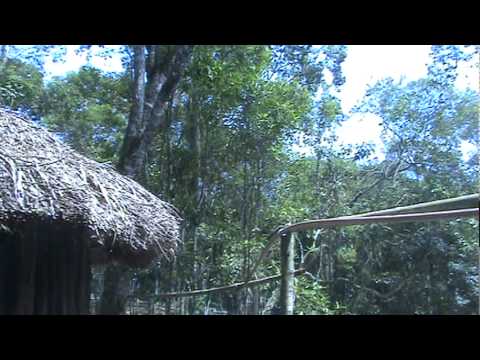 ALDEIA LOBO VELHO DA COMUNIDADE INDÍGENA KARIBOKA NA VOZ DO PAGÉ LAGUNA PARTE 11 - AUWE