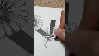 Flower Drawing—ZINNIA ElEGANS🌼