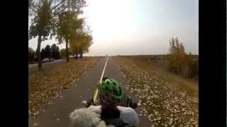 preview picture of video 'Fall colours in Calgary..m2ts.  September 23-2012.'