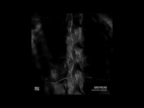 Greyhead - Armas Contra Cacerolas(Estupido Humano)