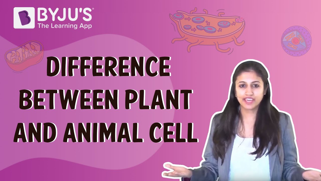 Difference Between Plant Cell And Animal Cell