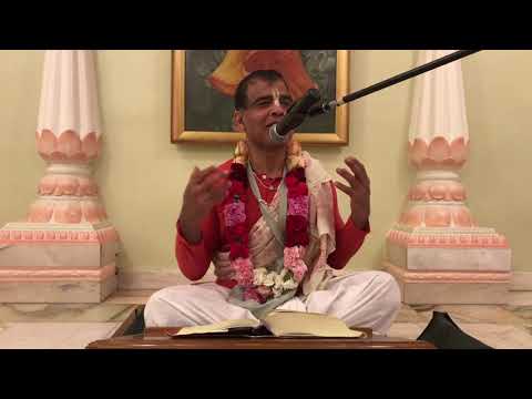 Morning Class SB 6.17.31 - HG Prabhava Prabhu - 5 November 2022
