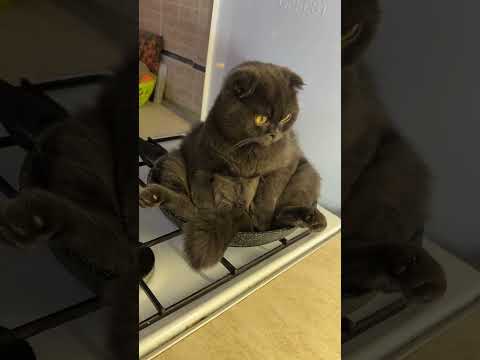 Сезон Ёлок пора закрывать!