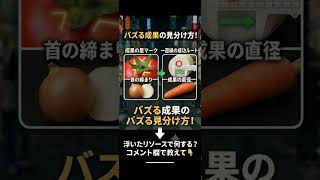 約60秒でわかる！野菜の選び方🥦