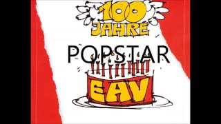 Popstar Music Video