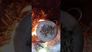 Ơ quê bạn con này gọi là con gì??