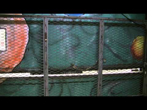 Riding the Haughton freight elevator @ The Bon Ton in the Eastern Hills Mall, with musicfreakcc.