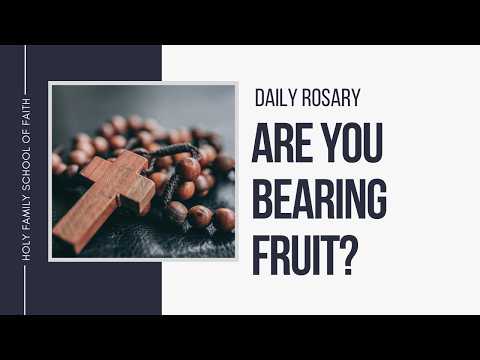 [Daily Rosary Meditations] Are You Bearing Fruit