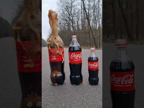Coke & Mentos Volcano 🌋
