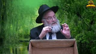 מי זאת יפת תואר של האדם!! הרב מנחם שטיין (קו ההלכה הספרדי) - התמונה מוצגת ישירות מתוך אתר האינטרנט יוטיוב. זכויות היוצרים בתמונה שייכות ליוצרה. קישור קרדיט למקור התוכן נמצא בתוך דף הסרטון מי זאת יפת תואר של האדם!! הרב מנחם שטיין (קו ההלכה הספרדי) - התמונה מוצגת ישירות מתוך אתר האינטרנט יוטיוב. זכויות היוצרים בתמונה שייכות ליוצרה. קישור קרדיט למקור התוכן נמצא בתוך דף הסרטון