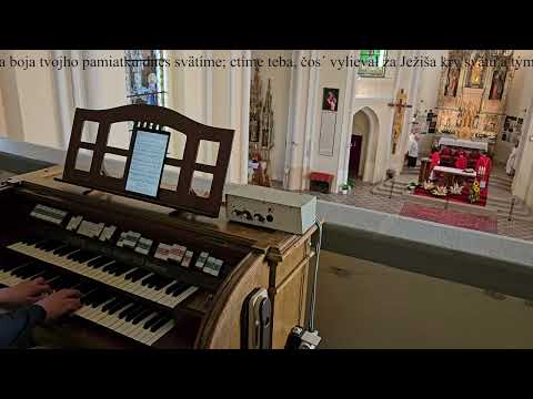 JKS 455 - My zo srdca povďačného (Mariánska hora v Levoči)