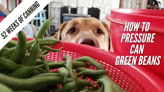 How To Pressure Can Green Beans   52 Weeks of Canning