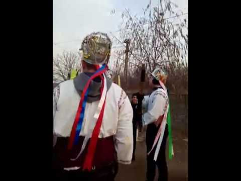 Irozii la Letca Nouă