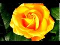 Roxette-fading like a flower (every time you leave ...