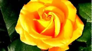 Roxette-fading like a flower (every time you leave)