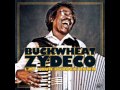 Buckwheat Zydeco - Please Don't Leave Me