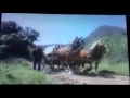 Opening Closing To Kidsongs A Day At Camp 1990 VHS Redone Version