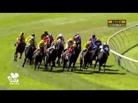 Group 2 WA Guineas - Man Booker