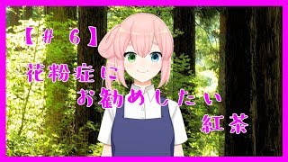 【花粉症】花粉症にお勧めしたい紅茶【06】