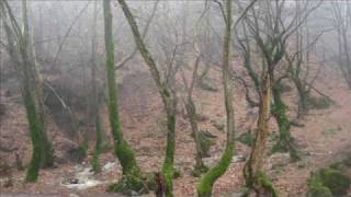 IN THE WOODS... - Tell De Dode (demo)