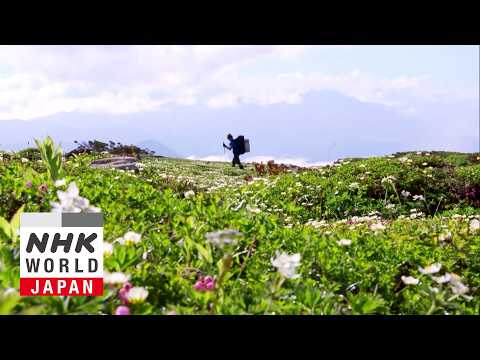 Vanishing Alpine Meadows - IMPACTS: Climates Change ...