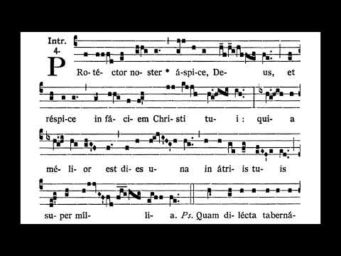 14th Sunday after Pentecost INTROIT:  Protéctor noster  (solfeggio)