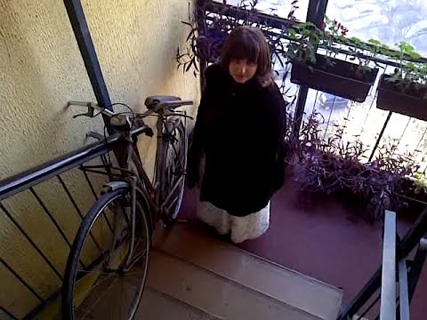 Mitsko Biće x Kineski restoran - Daleko