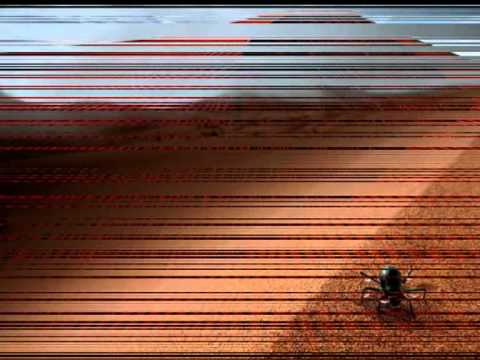 Jaromír Nohavica Sloní hřbitovy