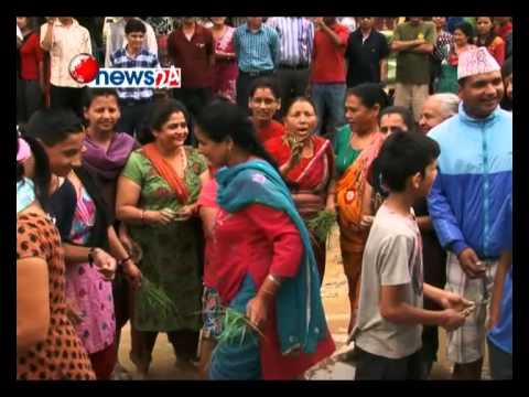 वर्षाले हिलम्मे भएको सडकमा धान रोपियो -NEWS24TV