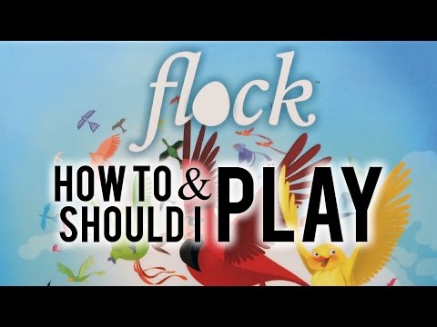 How To Play & Should I Play Flock