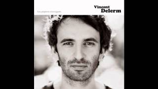 Vincent Delerm -- Il Fait Si Beau